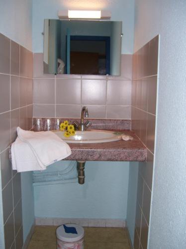 Citotel Hotel Le Commerce Severac-d'Aveyron Ruang foto